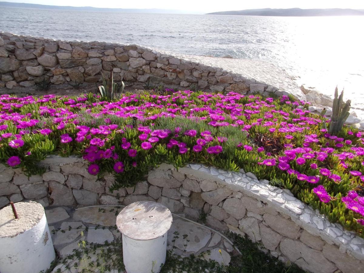 Pura Vida Makarska Apartamento Exterior foto